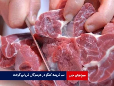 ۱۱ مورد مشکوک به بیماری تب کریمه کنگو در هرمزگان