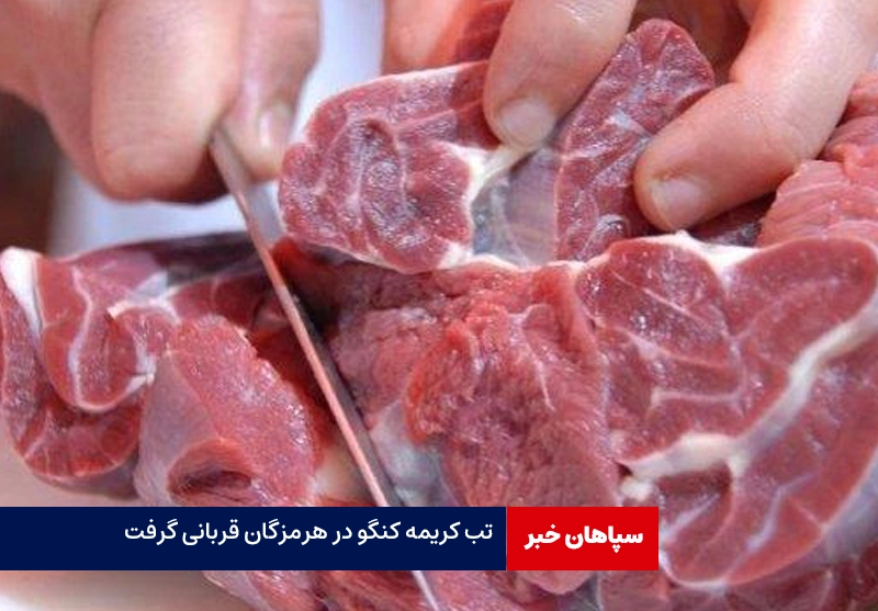 ۱۱ مورد مشکوک به بیماری تب کریمه کنگو در هرمزگان