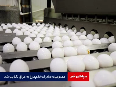 ممنوعیت صادرات تخم‌مرغ به عراق تکذیب شد