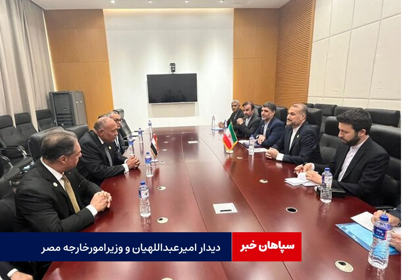دیداروزیرامورخارجه ایران و مصر درباره آتش بس /تاکید برتوقف کامل جنگ در غزه