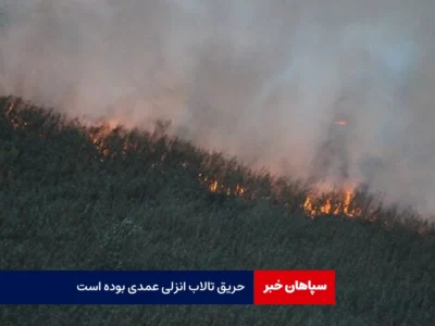 آتش سوزی تالاب انزلی عمدی بوده است