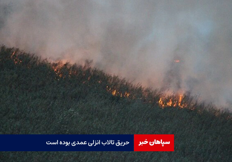 آتش سوزی تالاب انزلی عمدی بوده است
