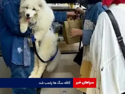 پلمب کافه سگ ها / پایان نافرجام سواستفاده از حیوانات