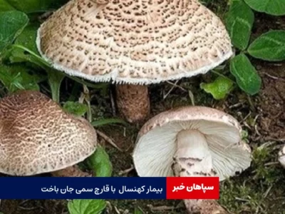 مسمومیت ۱۳ نفر با قارچ سمی / یکی از بیماران کهنسال جان باخت