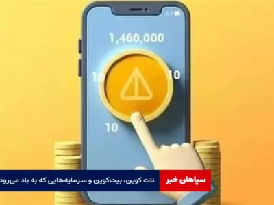 نات کوین، بیت‌کوین و سرمایه‌هایی که به باد می‌رود
