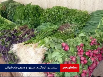 بیشترین آلودگی در سبزی و صیفی جات ایرانی