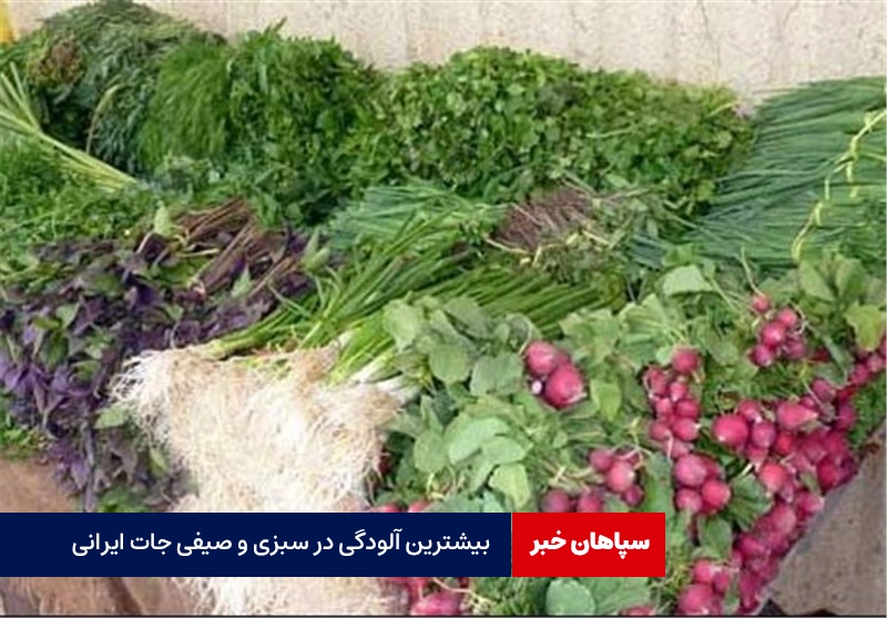 بیشترین آلودگی در سبزی و صیفی جات ایرانی