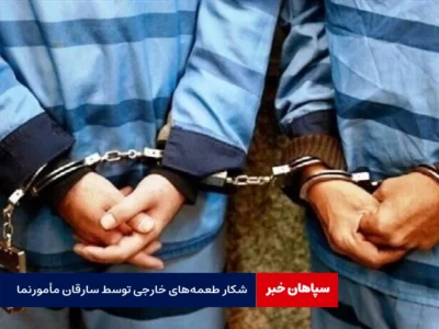 شکار طعمه‌های خارجی توسط سارقان مأمورنما