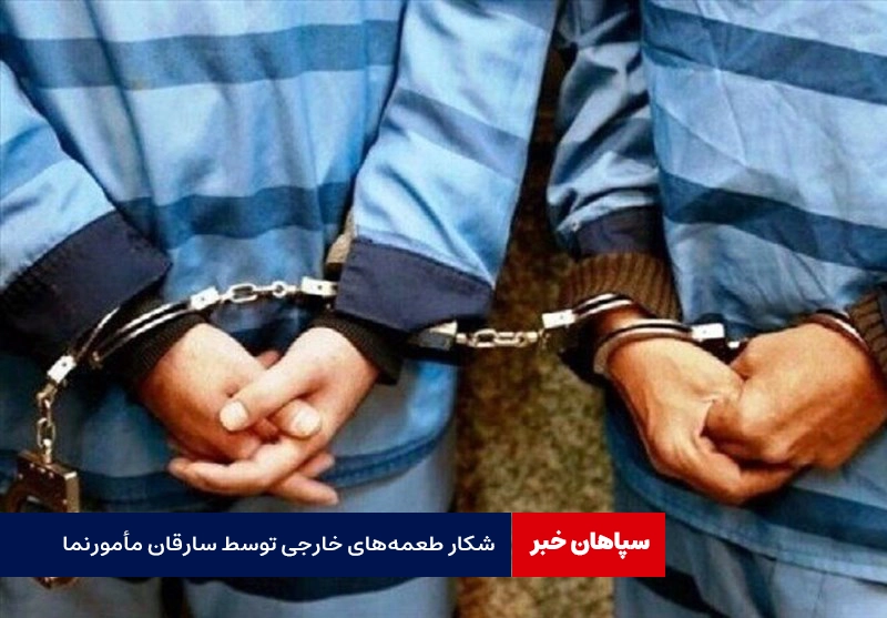شکار طعمه‌های خارجی توسط سارقان مأمورنما