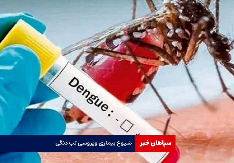 شیوع بیماری ویروسی تب دنگی / ۶ تا ۱۶ ساله ها واکسن بزنند