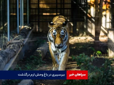آفتاب سیبری در باغ وحش ایران درگذشت!