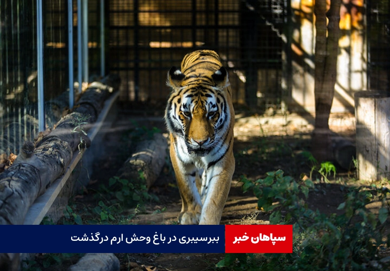 آفتاب سیبری در باغ وحش ایران درگذشت!