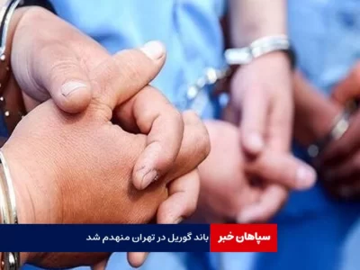 باند گوریل در تهران منهدم شد