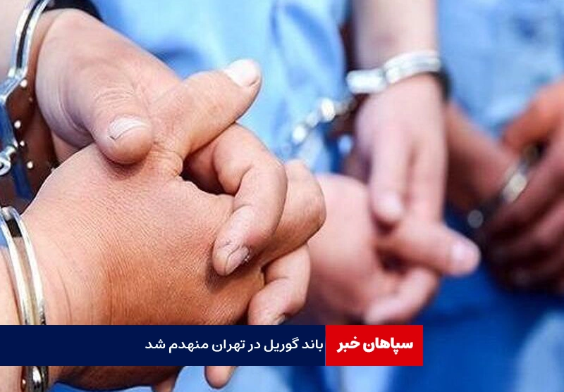 باند گوریل در تهران منهدم شد