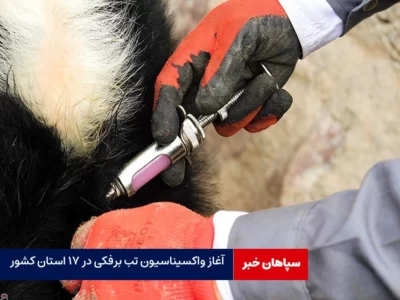 آغاز واکسیناسیون تب برفکی در ۱۷ استان کشور  