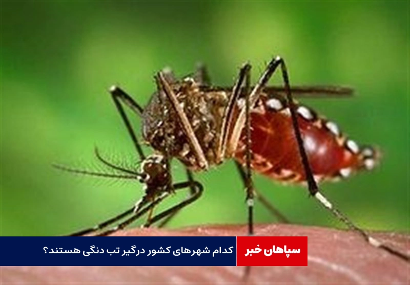 کدام شهرهای کشور درگیر تب دنگی هستند؟
