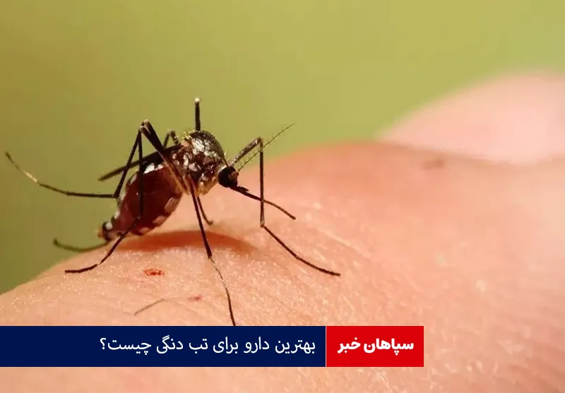 بهترین دارو برای تب دنگی چیست؟