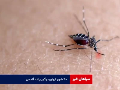 ۴۰ شهر ایران درگیر پشه آئدس / بستری‌شدن ۲۶۰۰ بیمار در یک روز