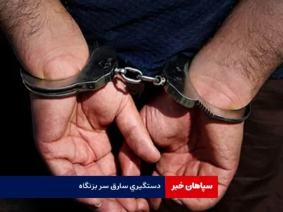 دستگیری سارق سر بزنگاه