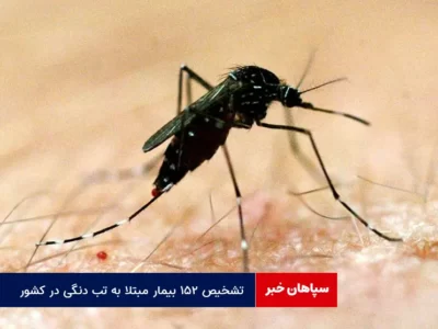تشخیص ۱۵۲ بیمار مبتلا به تب دنگی در کشور