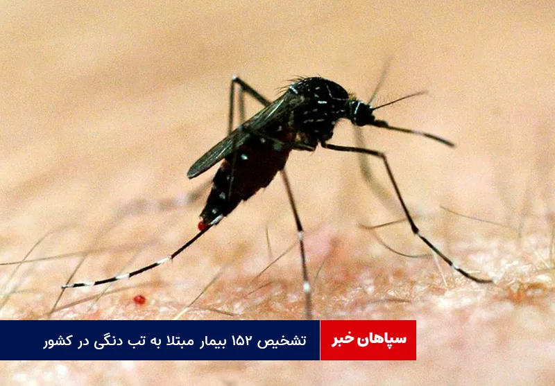 تشخیص ۱۵۲ بیمار مبتلا به تب دنگی در کشور