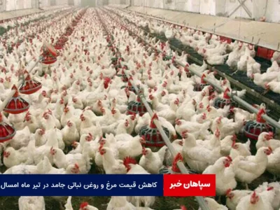 کاهش قیمت مرغ و روغن نباتی جامد در تیر ماه امسال