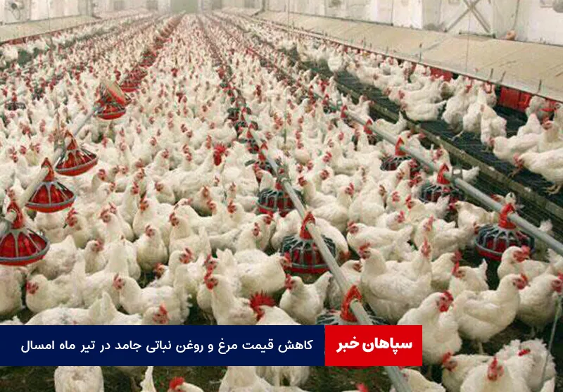 کاهش قیمت مرغ و روغن نباتی جامد در تیر ماه امسال