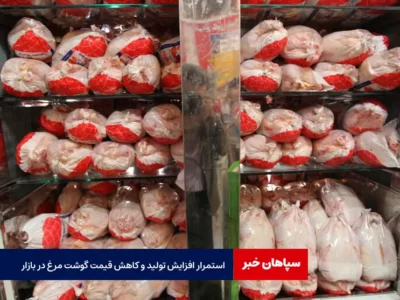 استمرار افزایش تولید و کاهش قیمت گوشت مرغ در بازار