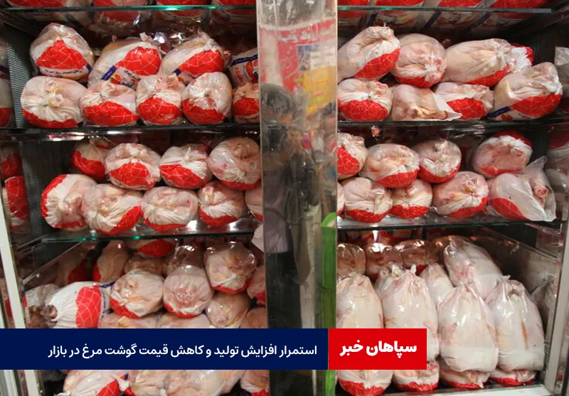 استمرار افزایش تولید و کاهش قیمت گوشت مرغ در بازار