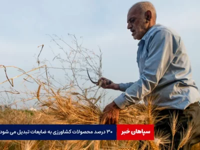 ۳۰ درصد محصولات کشاورزی به ضایعات تبدیل می شود