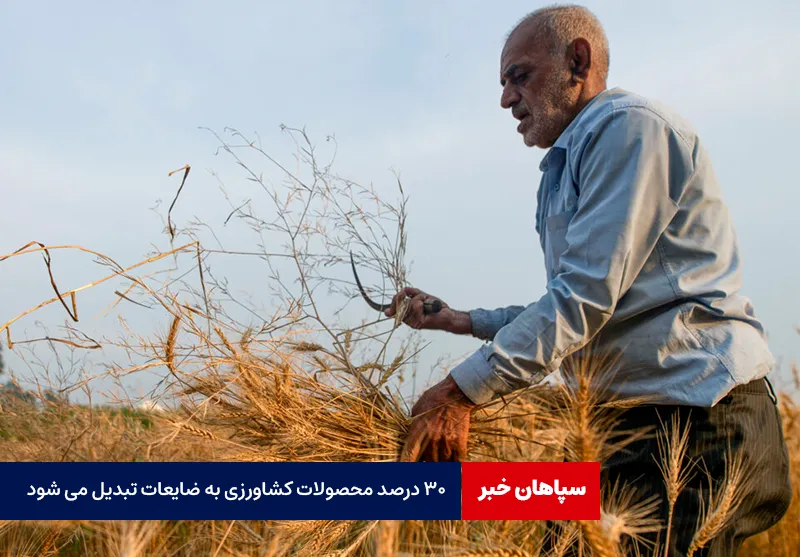 ۳۰ درصد محصولات کشاورزی به ضایعات تبدیل می شود