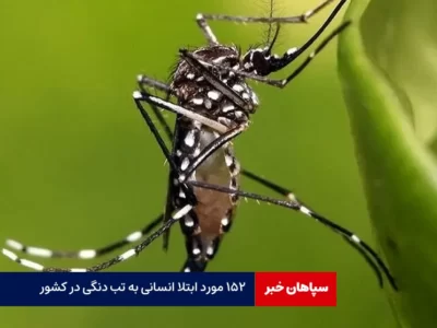 ۱۵۲ مورد ابتلا انسانی به تب دنگی در کشور /ایران در آستانه همه‌گیری جدید