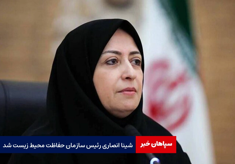 شینا انصاری، رئیس سازمان حفاظت محیط زیست شد