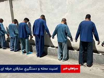 امنیت محله و دستگیری سارقان حرفه ای