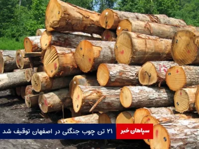 ۲۱ تن چوب جنگلی در اصفهان توقیف شد