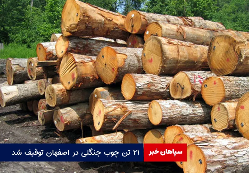 ۲۱ تن چوب جنگلی در اصفهان توقیف شد