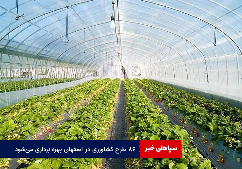 ۸۶ طرح کشاورزی در اصفهان بهره برداری می‌شود