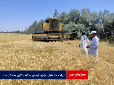 دولت ۱۲۰ هزار میلیارد تومان به گندم‌کاران بدهکار است