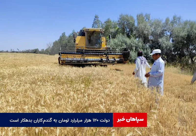 دولت ۱۲۰ هزار میلیارد تومان به گندم‌کاران بدهکار است