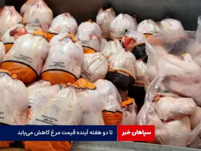 تا دو هفته آینده قیمت مرغ کاهش می‌یابد
