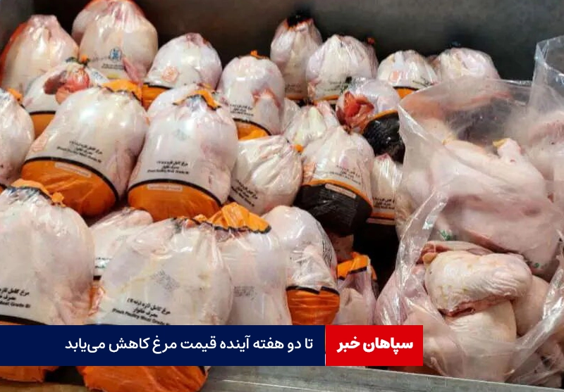 تا دو هفته آینده قیمت مرغ کاهش می‌یابد