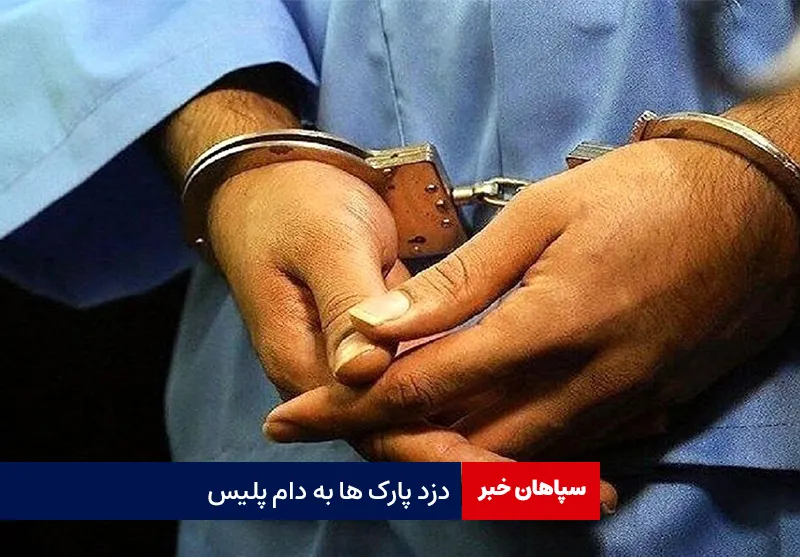 دزد پارک ها به دام پلیس