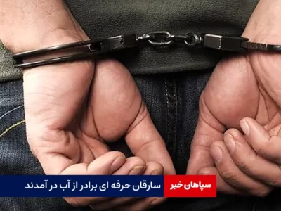 سارقان حرفه ای برادر از آب در آمدند