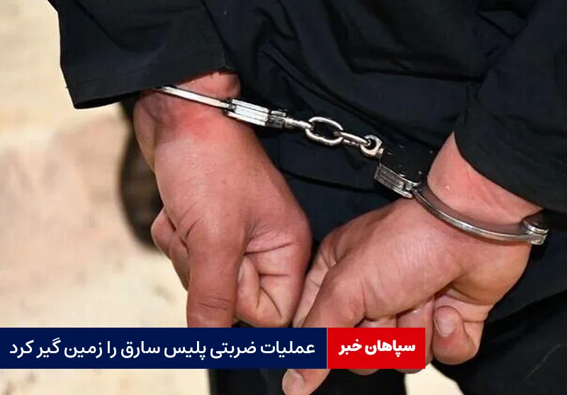 عملیات ضربتی پلیس سارق را زمین گیر کرد