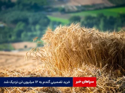 خرید تضمینی گندم به ۱۲ میلیون تن نزدیک شد