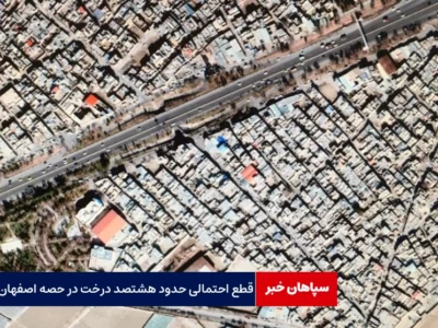 قطع هشتصد درخت حصه توسط شهرداری اصفهان