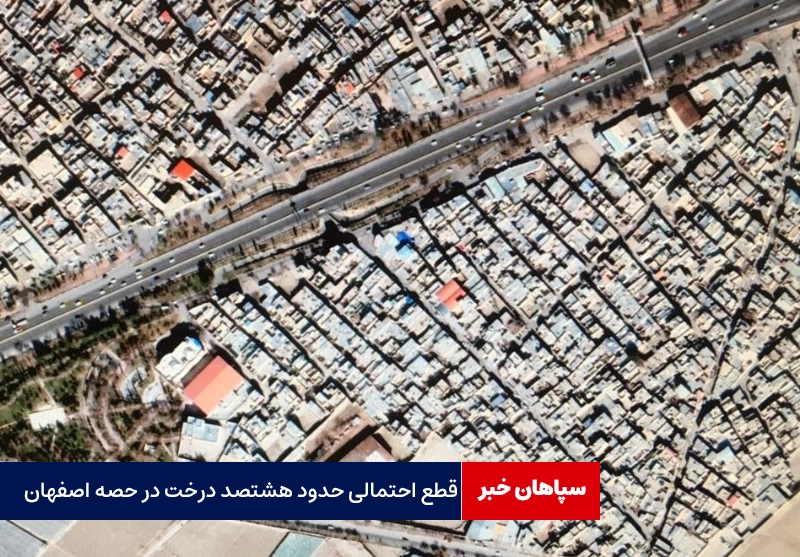 قطع هشتصد درخت حصه توسط شهرداری اصفهان