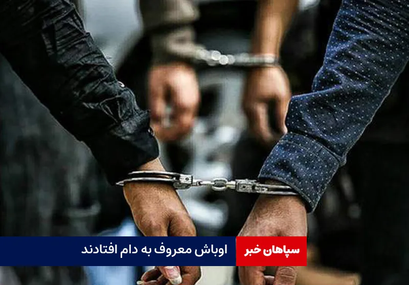 اوباش معروف به دام افتادند