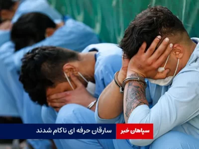 سارقان حرفه ای ناکام شدند