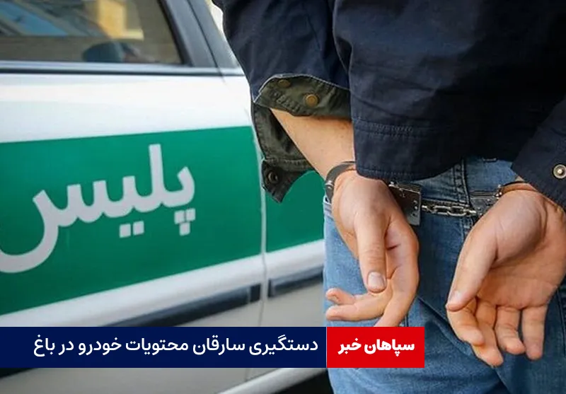 دستگیری سارقان محتویات خودرو در باغ